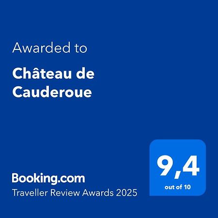 Chateau De Cauderoue Nérac Kültér fotó