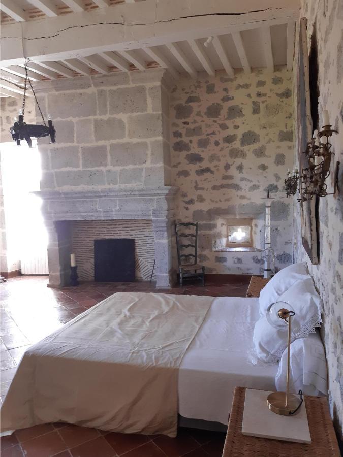 Chateau De Cauderoue Nérac Kültér fotó