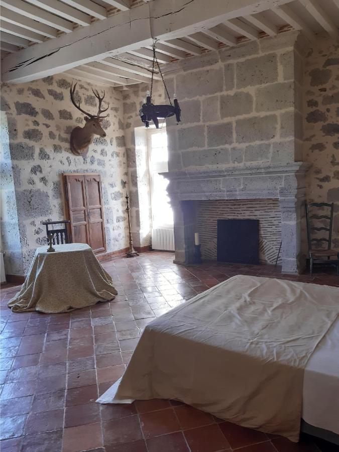 Chateau De Cauderoue Nérac Kültér fotó