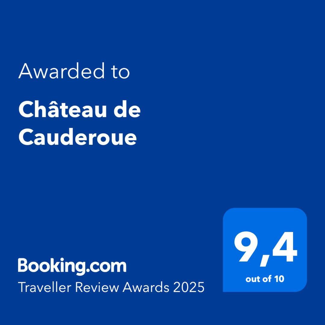 Chateau De Cauderoue Nérac Kültér fotó